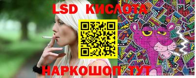 прущие грибы Гусев