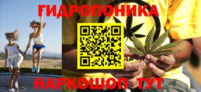 тгк Гусь-Хрустальный