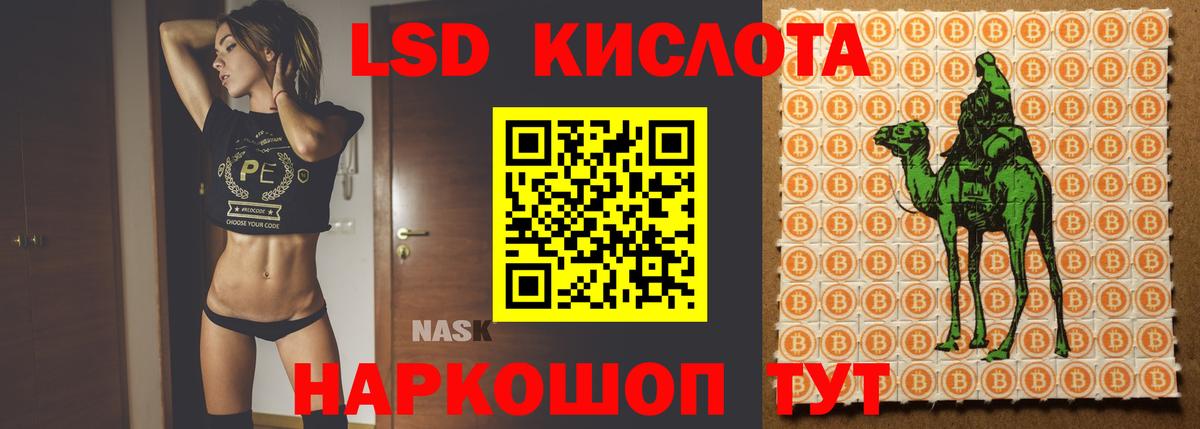 Лсд 25 экстази кислота Елизово