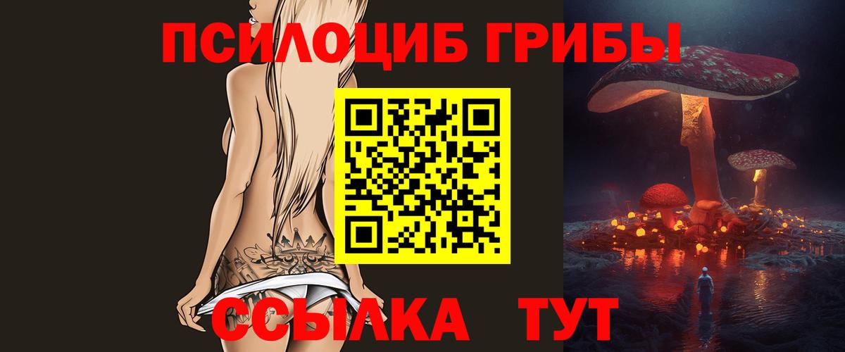 Псилоцибиновые грибы Psilocybine cubensis Елизово