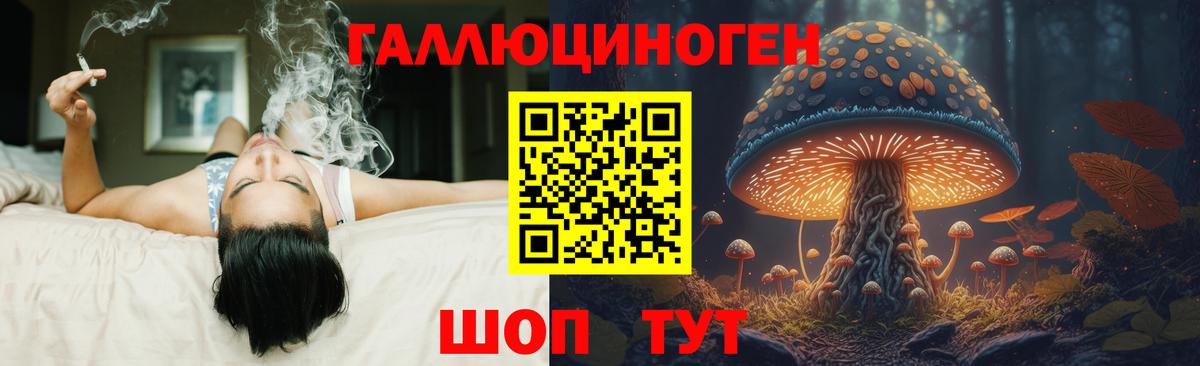 Галлюциногенные грибы MAGIC MUSHROOMS  Галлюциногенные грибы мицелий  Елизово  Вход с VPN 